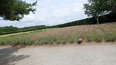 p7010060_thumb.jpg