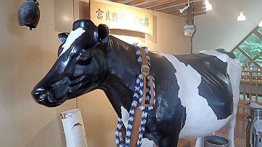 p7010085_thumb.jpg