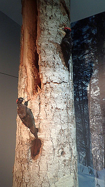 p7010105_thumb.jpg