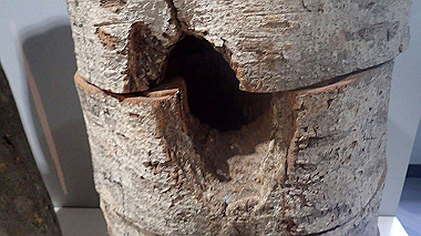 p7010107_thumb.jpg