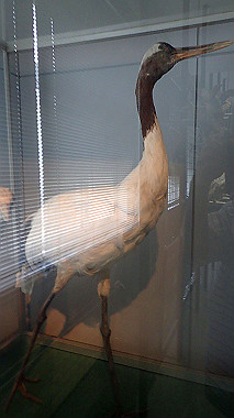 p7010116_thumb.jpg