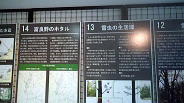 p7010119_thumb.jpg