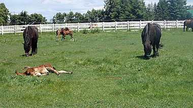 p7020094_thumb.jpg