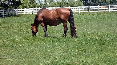p7020096_thumb.jpg