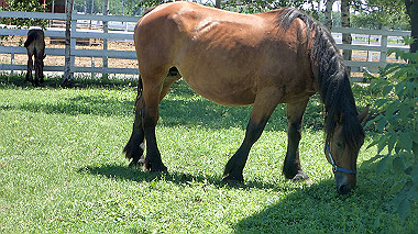 p7020097_thumb.jpg