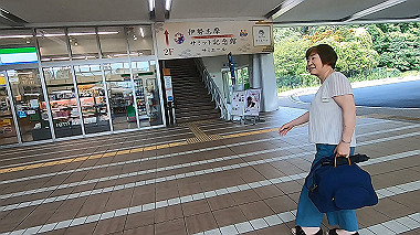 gx018938.mp4_snapshot_02.44_thumb.jpg