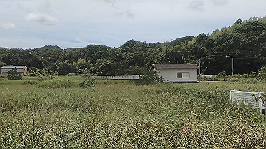 gx018947.mp4_snapshot_00.27_thumb.jpg