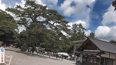 gx018951.mp4_snapshot_00.48_thumb.jpg