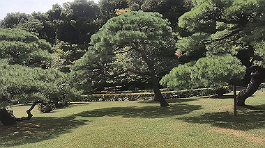 gx018953.mp4_snapshot_00.02_thumb.jpg