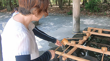 gx018954.mp4_snapshot_00.33_thumb.jpg