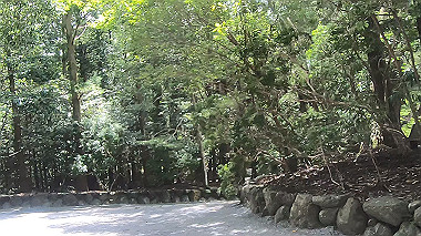 gx018956.mp4_snapshot_00.02_thumb.jpg
