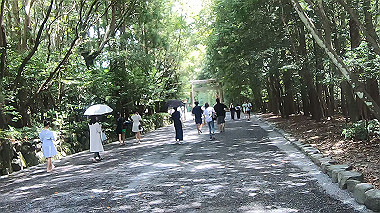 gx018956.mp4_snapshot_00.29_thumb.jpg