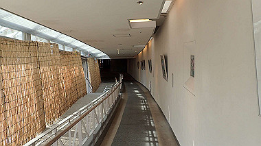 p7305663_thumb.jpg