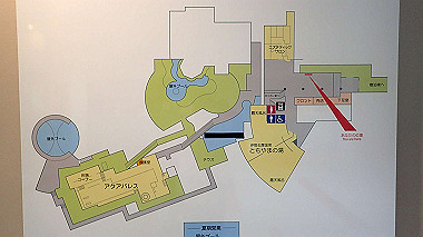 p7305674_thumb.jpg