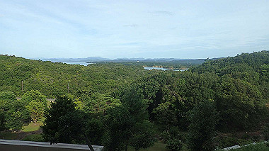 p7315677_thumb.jpg