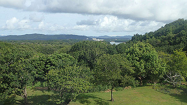 p7315693_thumb.jpg