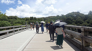 p7315698_thumb.jpg