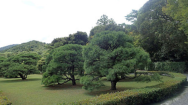 p7315705_thumb.jpg