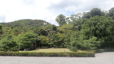 p7315706_thumb.jpg