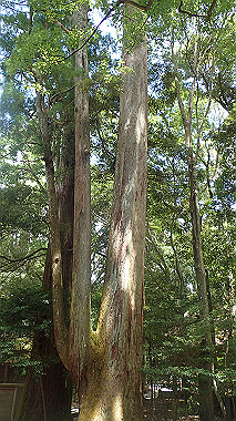 p7315714_thumb.jpg