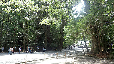 p7315719_thumb.jpg