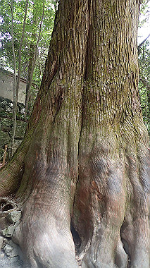 p7315721_thumb.jpg