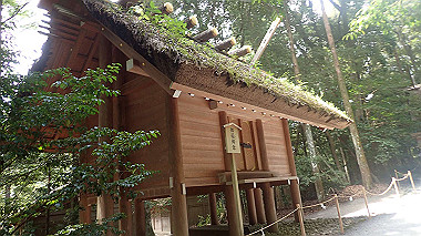 p7315722_thumb.jpg