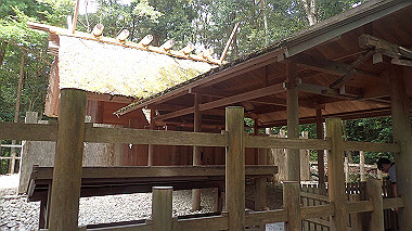 p7315726_thumb.jpg