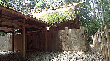 p7315728_thumb.jpg