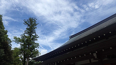 p7315732_thumb.jpg