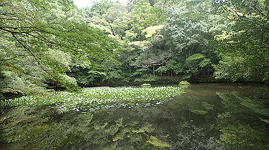 p7315733_thumb.jpg