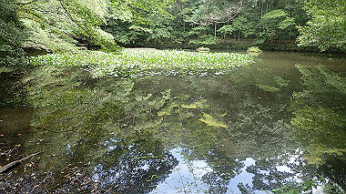 p7315734_thumb.jpg