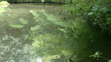p7315737_thumb.jpg