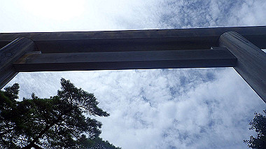 p7315747_thumb.jpg