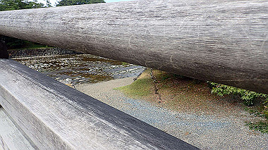 p7315749_thumb.jpg