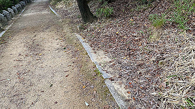 2023-08-09_08-13-30_346_thumb.jpg