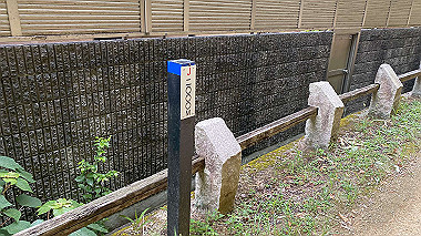 2023-08-09_08-17-58_773_thumb.jpg