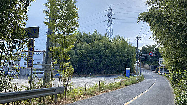 2023-08-09_08-32-25_793_thumb.jpg