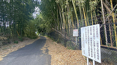 2023-08-09_08-32-28_823_thumb.jpg