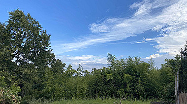 2023-08-09_08-46-53_595_thumb.jpg