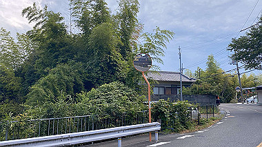 2023-08-09_08-50-55_873_thumb.jpg