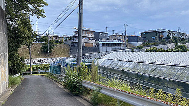 2023-08-09_09-03-33_628_thumb.jpg