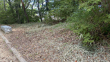 2023-08-10_08-17-44_953_thumb.jpg
