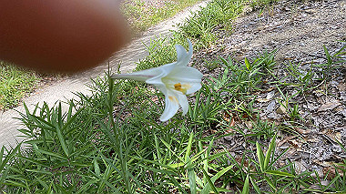2023-08-10_08-21-29_129_thumb.jpg