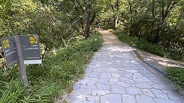 2023-08-10_08-24-00_740_thumb.jpg