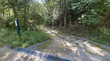 2023-08-10_08-24-06_619_thumb.jpg