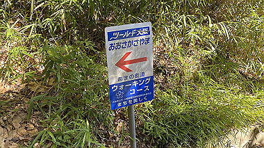 2023-08-10_08-32-12_318_thumb.jpg