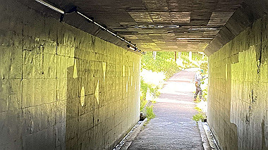 2023-08-12_08-23-13_175_thumb.jpg