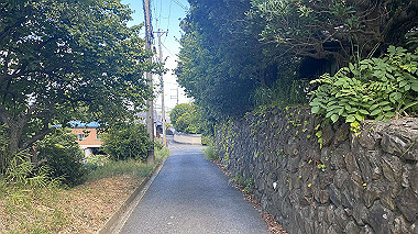 2023-08-12_09-02-45_889_thumb.jpg