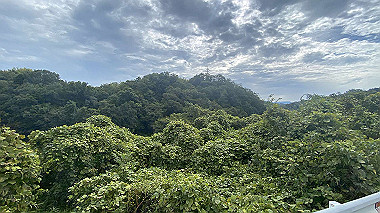 2023-08-18_09-02-01_543_thumb.jpg